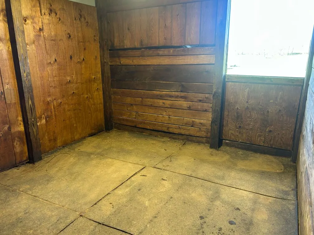 Luxury horse stables and premium boarding facilities at Rancho VC Equine