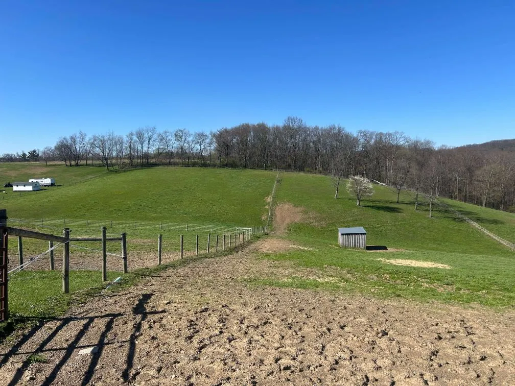 Professional horse training and daily equine care services